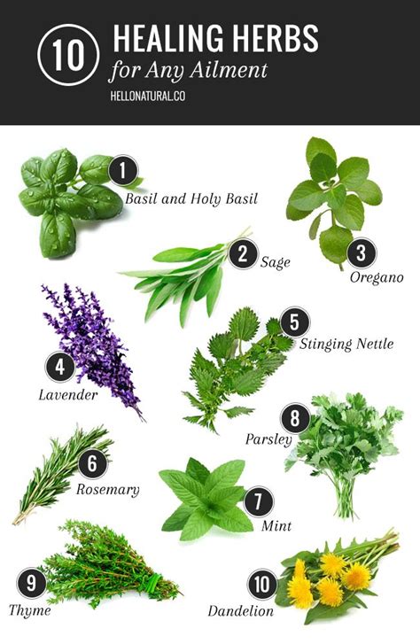 herbs associated with hermes